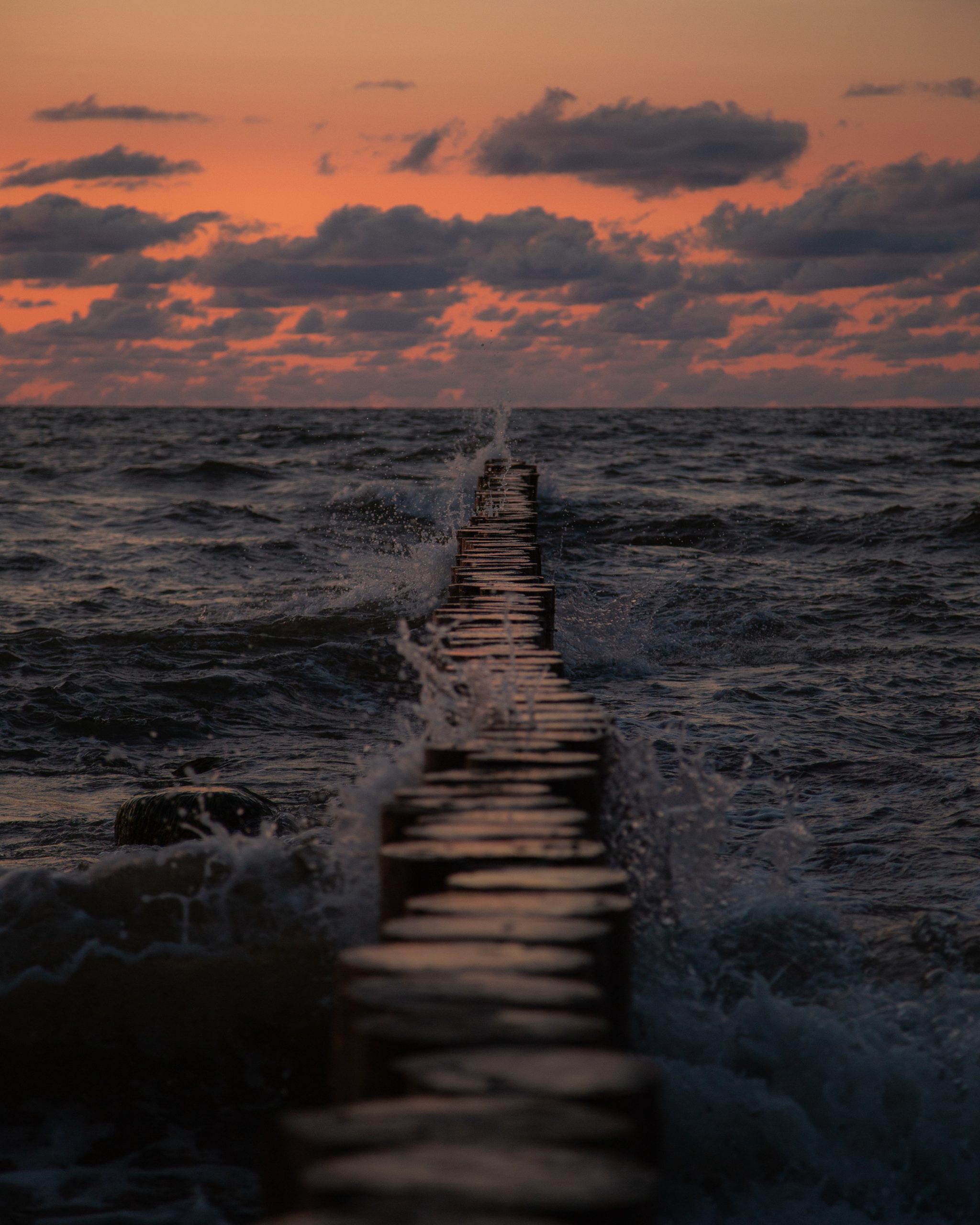 pexels-yura-forrat-11950364